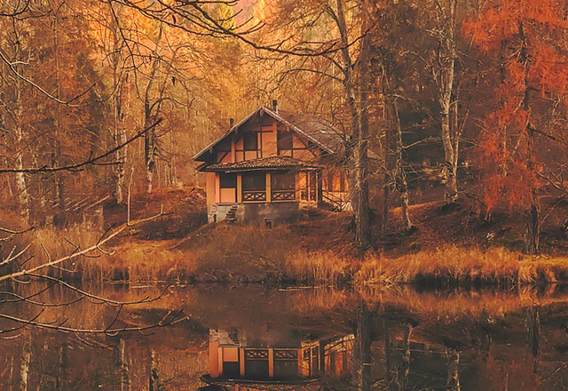 Дома из бруса под усадку