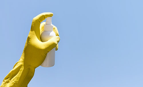 Дезинсекция и другие профилактические меры