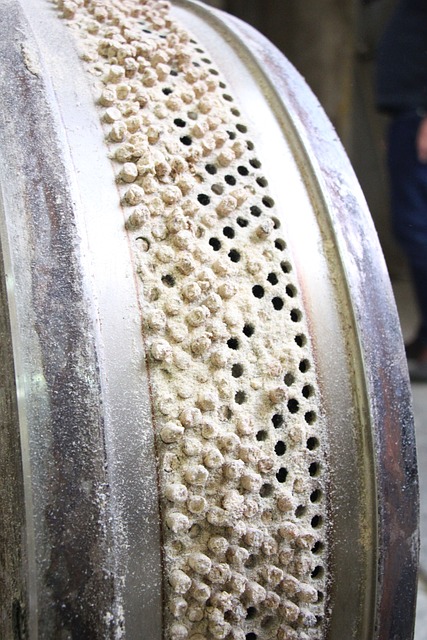 Экструдер и гранулятор для кормов