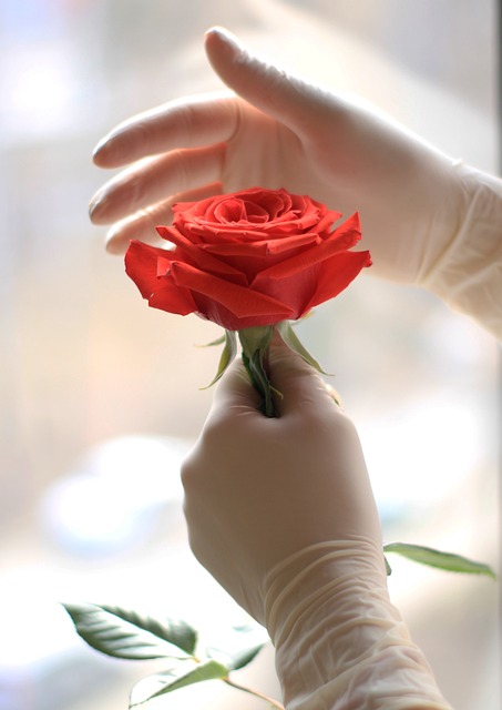 В чем разница между нитриловыми и виниловыми перчатками? Что лучше для каких целей?